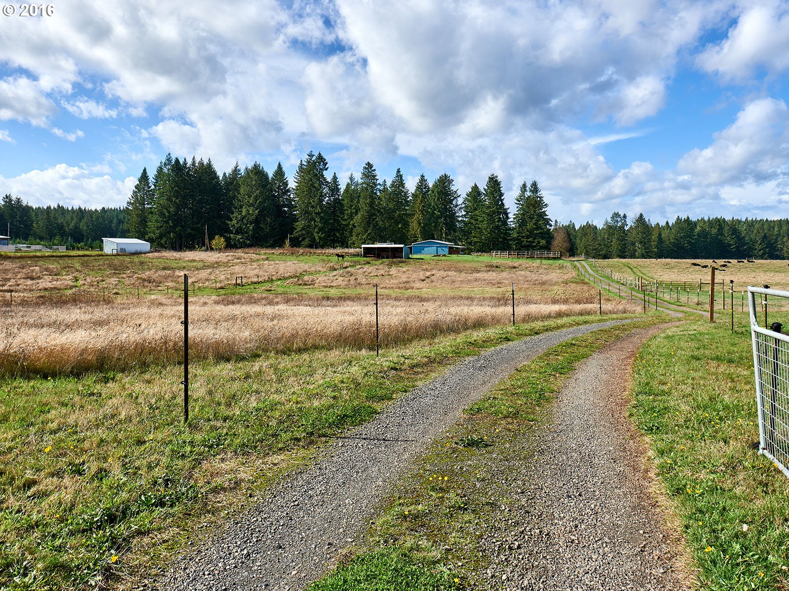 26737 South Look Road Colton, OR 97017 - Photo 6 of 25 a view of a garden with an outdoor seating