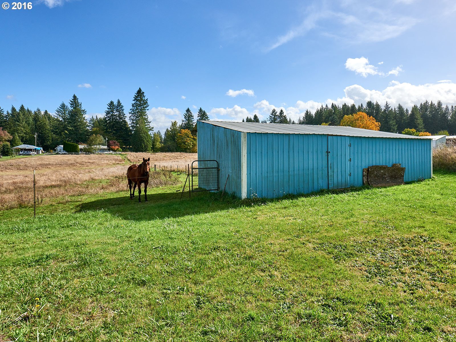 26737 South Look Road Colton, OR 97017 - Photo 8 of 25 a view of a backyard