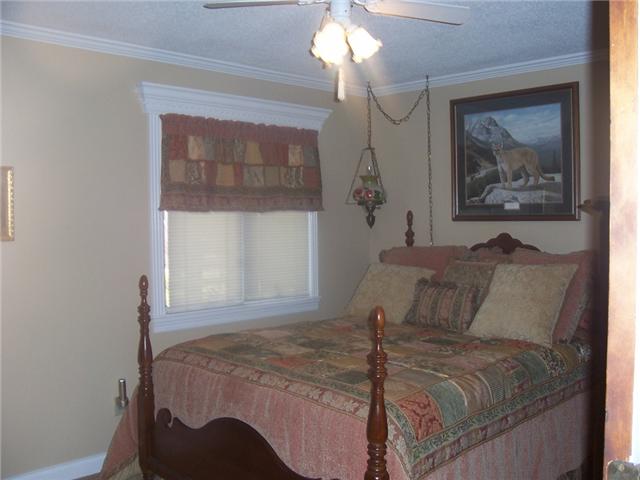 871 Mayne Trace Road Waverly, TN 37185 - Photo 9 of 20 Gallery Image 9