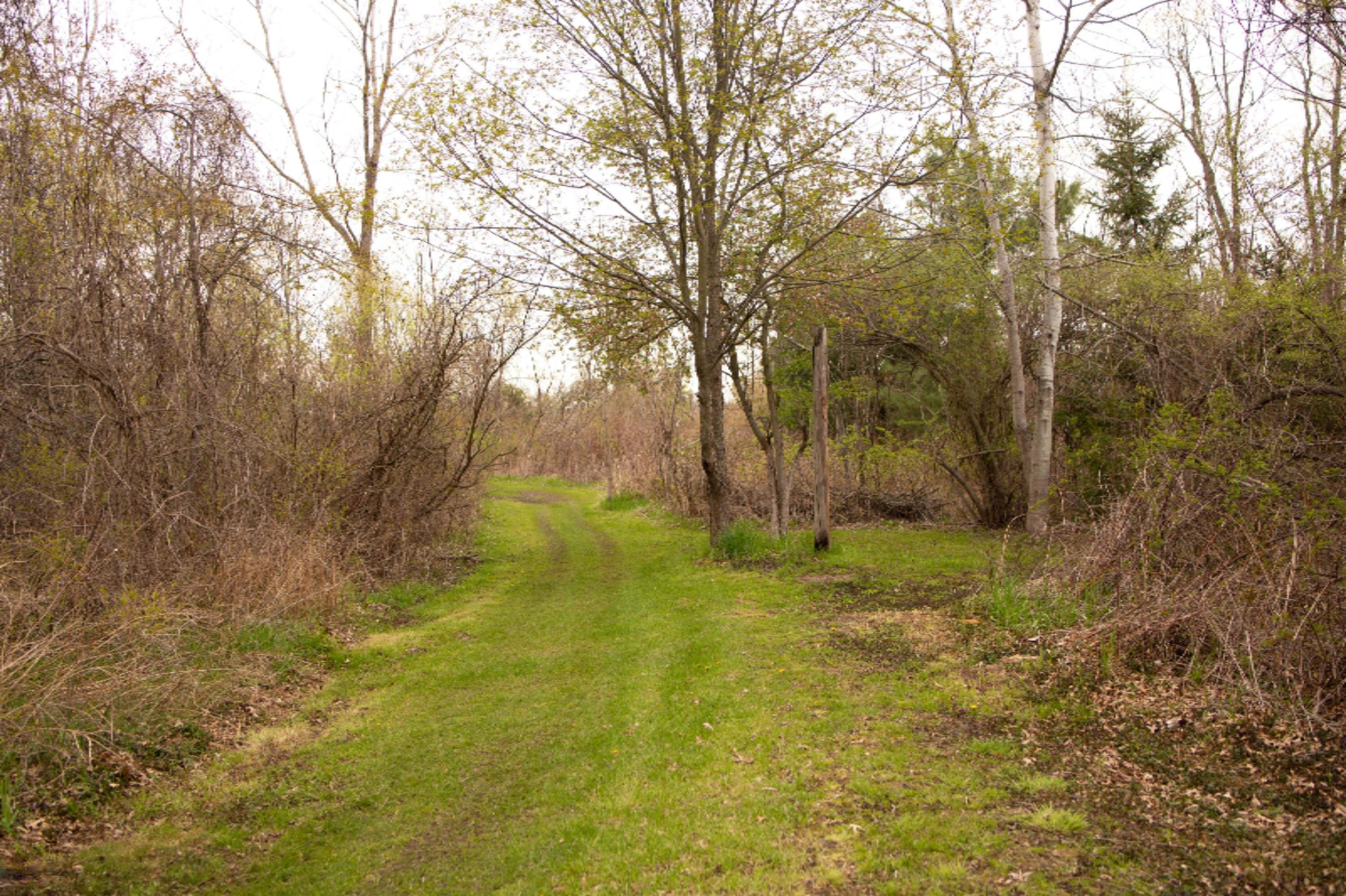 9339 Danneffel Road Watervliet, MI 49098 - Photo 24 of 31 Back trail 1
