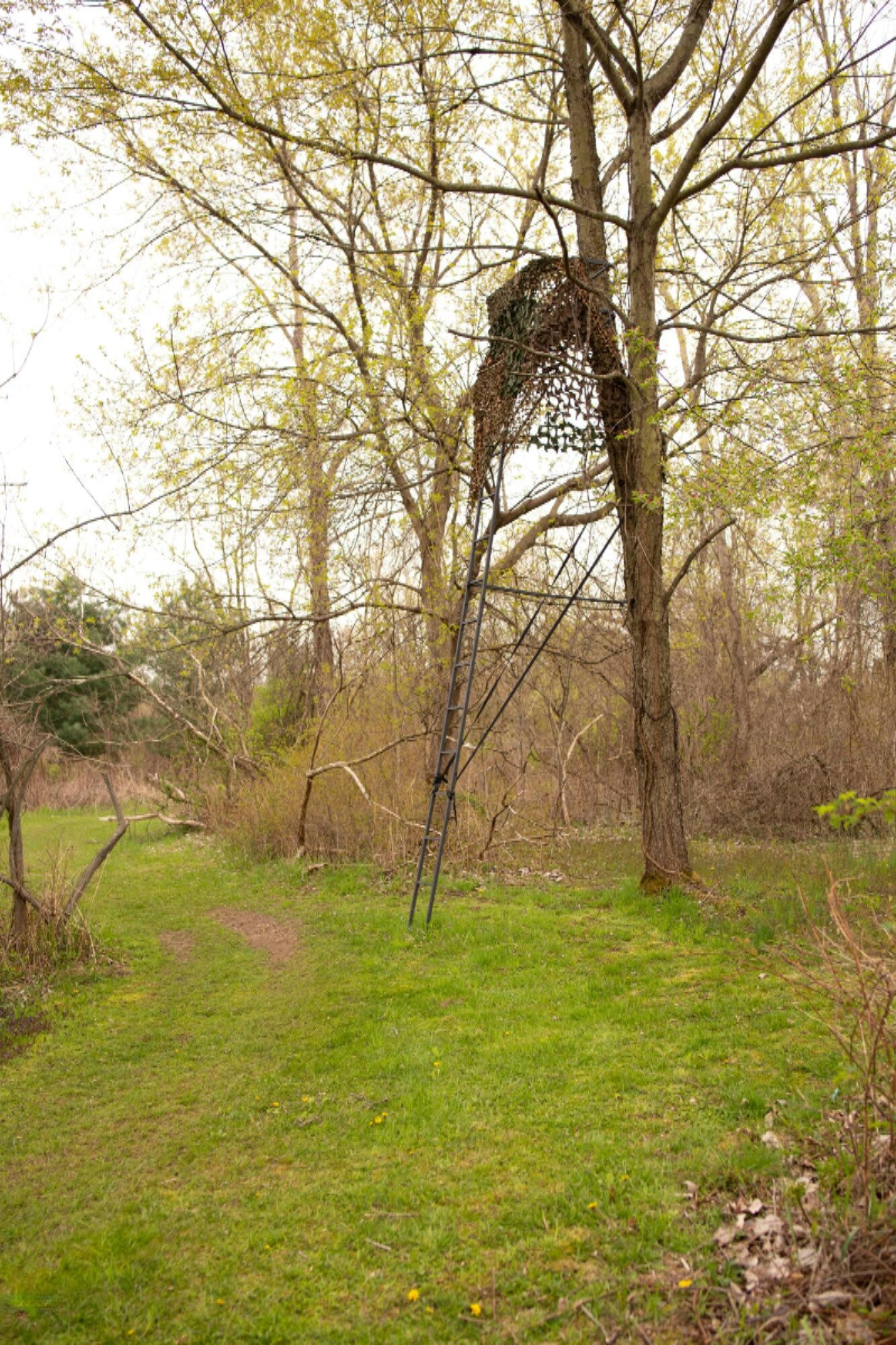 9339 Danneffel Road Watervliet, MI 49098 - Photo 25 of 31 Back trail 2