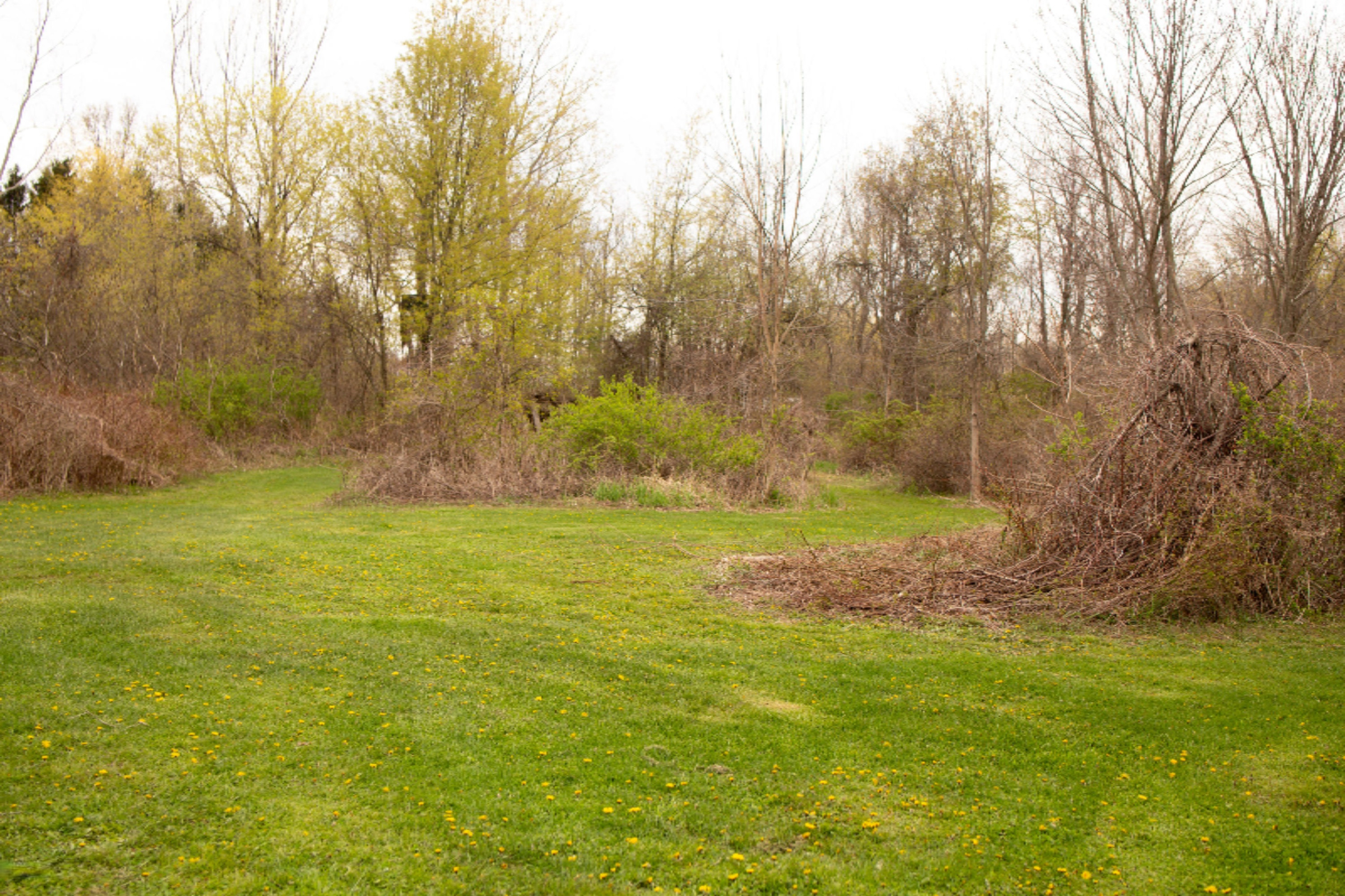 9339 Danneffel Road Watervliet, MI 49098 - Photo 27 of 31 Back trail 4
