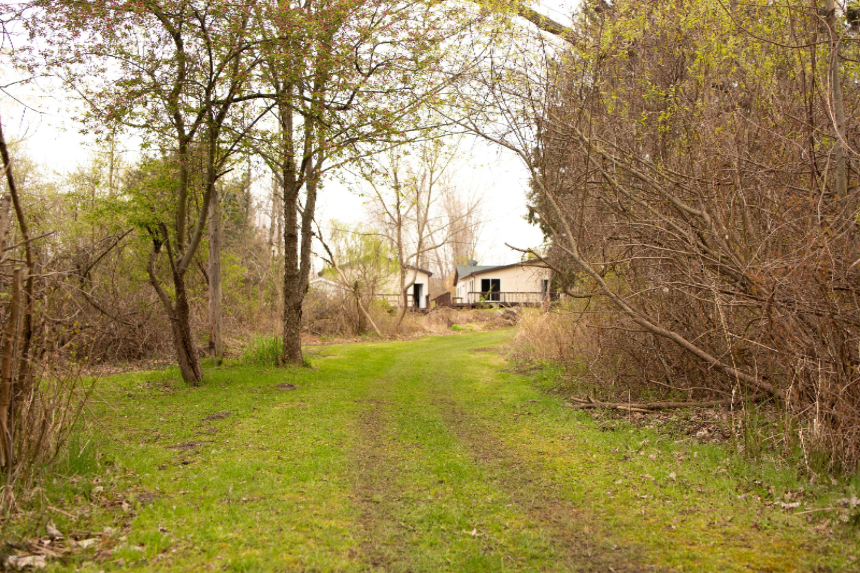 9339 Danneffel Road Watervliet, MI 49098 - Photo 28 of 31 Back trail 5
