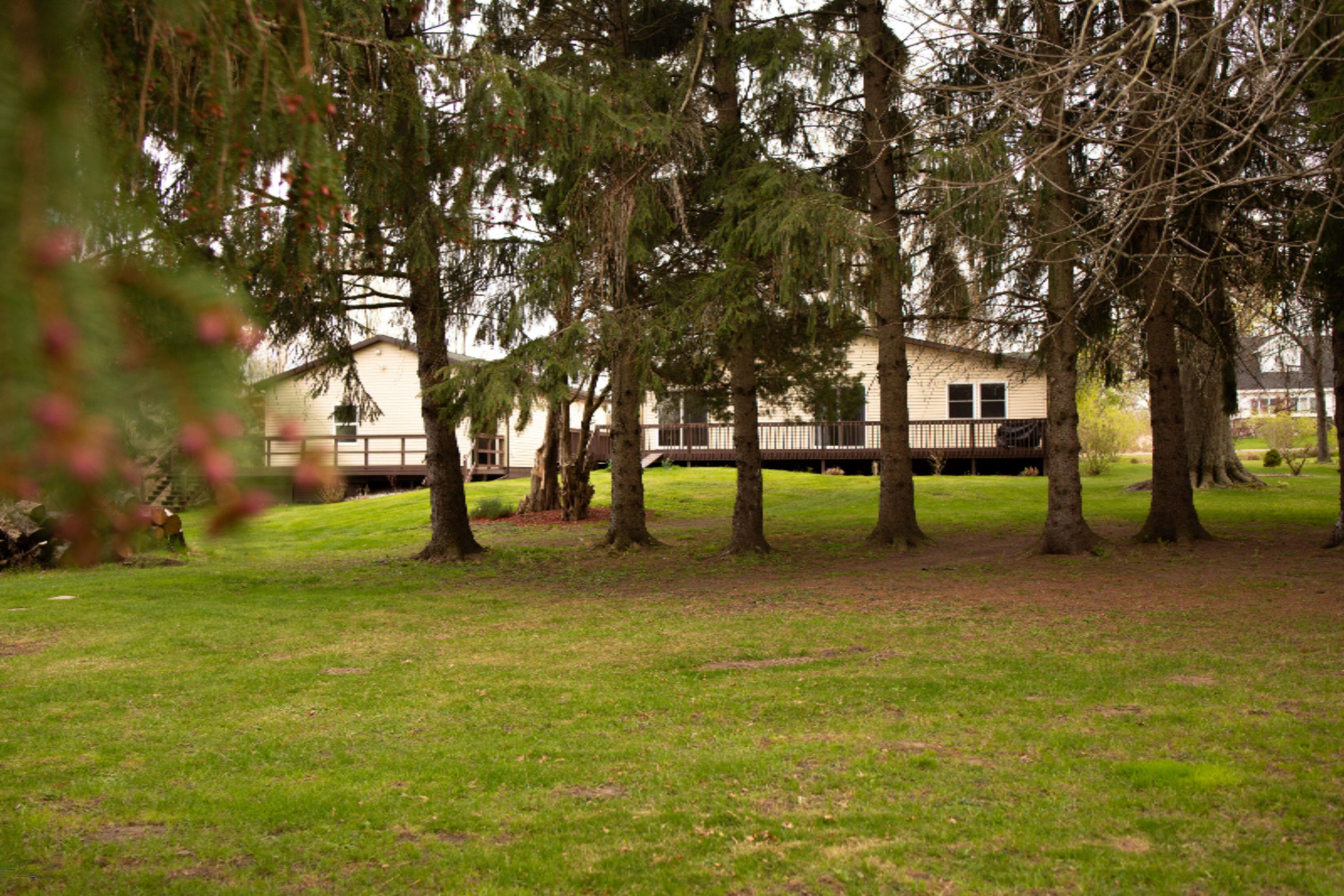 9339 Danneffel Road Watervliet, MI 49098 - Photo 29 of 31 Backyard