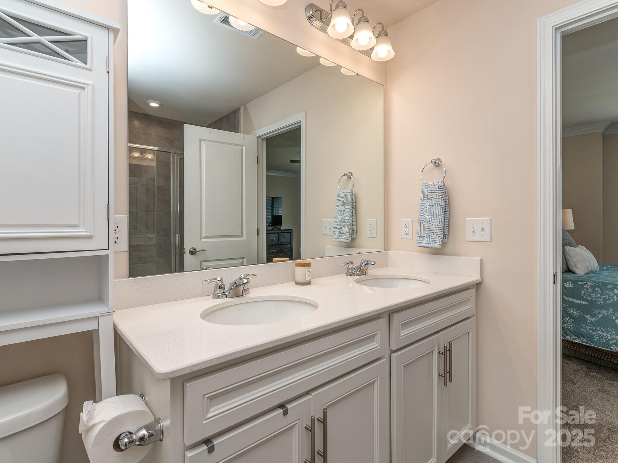 739 Elders Story Road Fort Mill, SC 29708 - Photo 17 of 30 a bathroom with a sink a toilet and a mirror