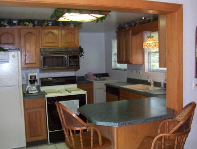 20208 Highway 60 Three Rivers, MI 49093 - Photo 3 of 10 Additional Photo