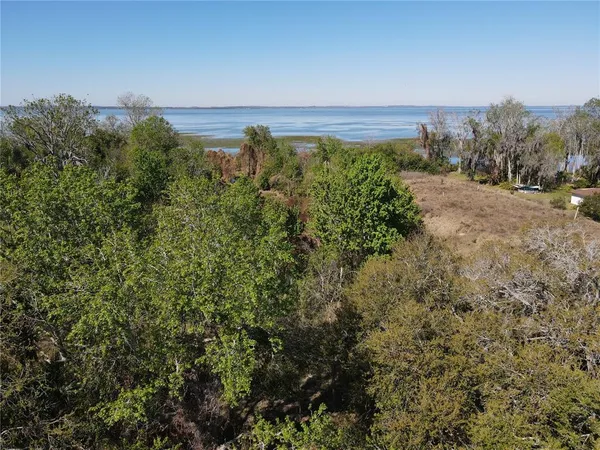 a view of a field with an ocean