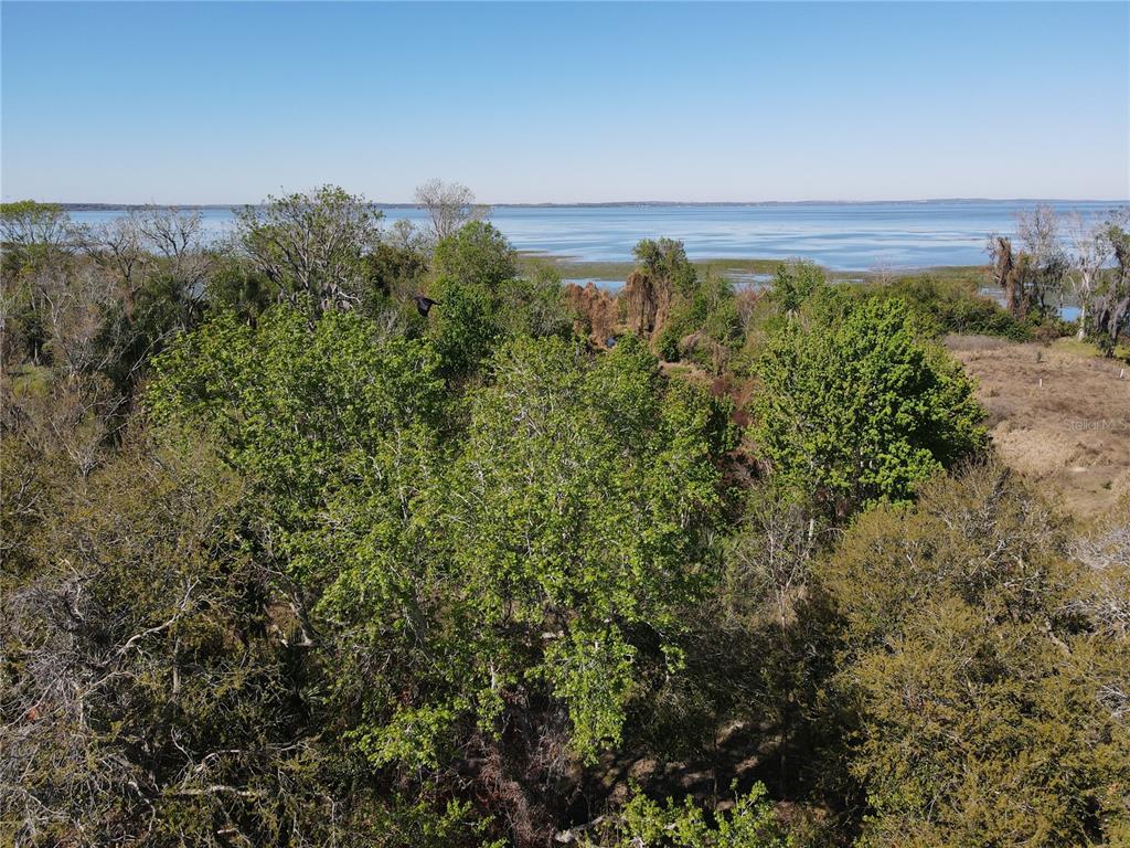 1401 North Fullers Cross Road Winter Garden, FL 34787 - Photo 2 of 10 a view of a field with an ocean