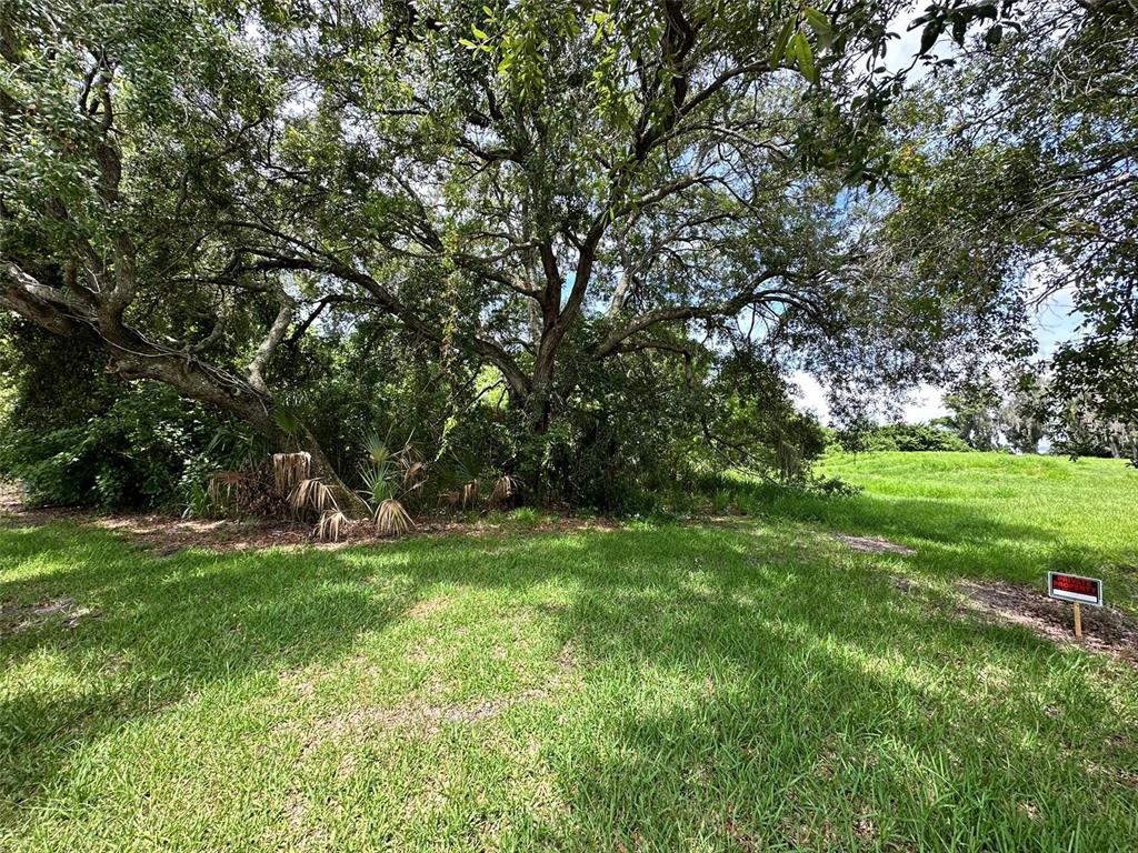1401 North Fullers Cross Road Winter Garden, FL 34787 - Photo 6 of 10 a view of a park with large trees