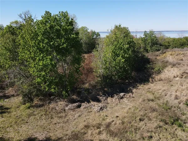 a view of a yard with a tree