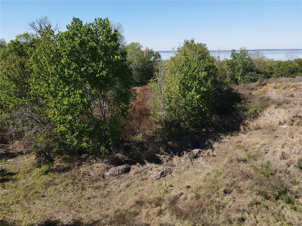1401 North Fullers Cross Road Winter Garden, FL 34787 - Photo 9 of 10 a view of a yard with a tree