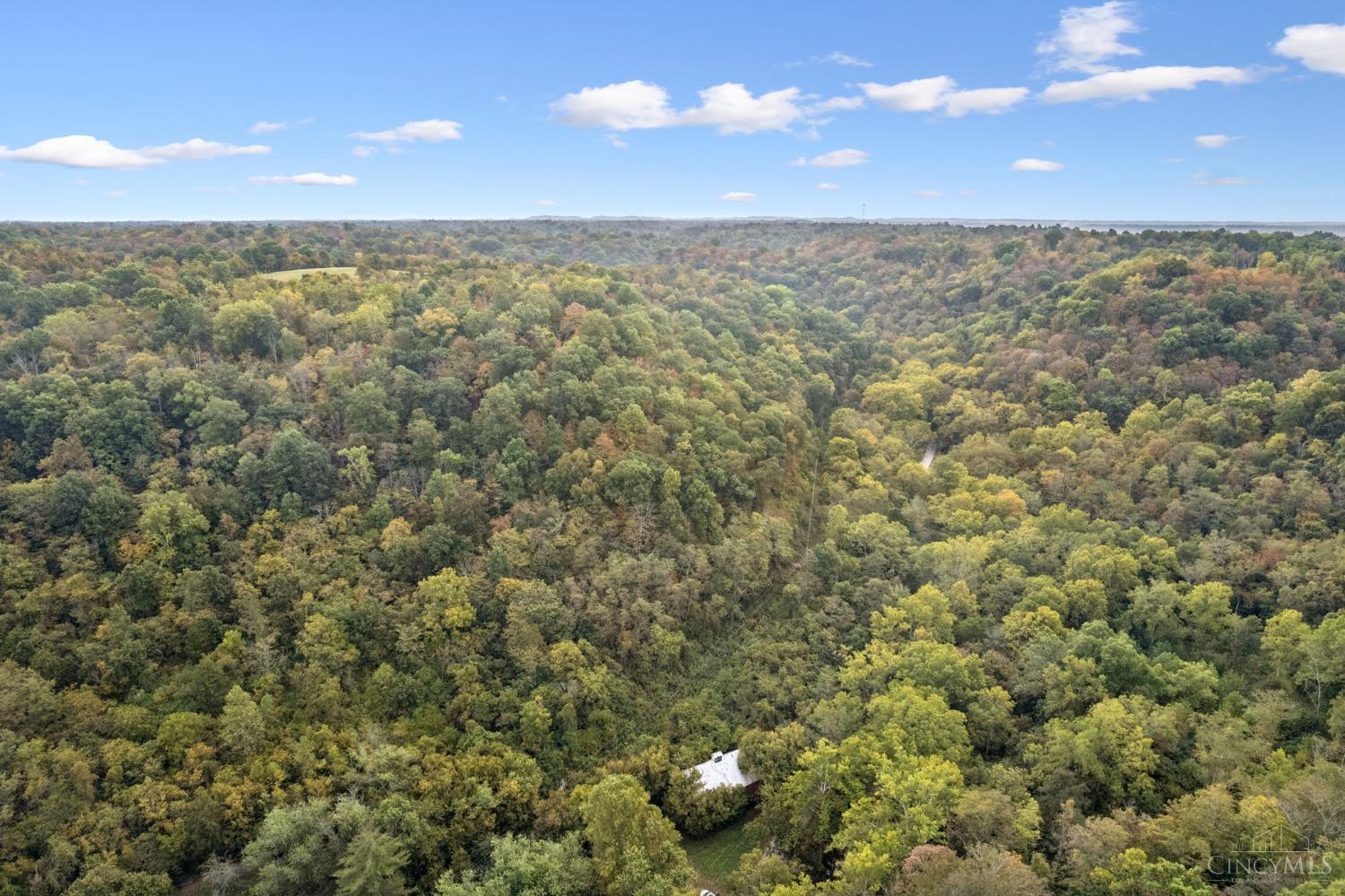 0 Fishing Gut Road Aberdeen, OH 45101 - Photo 6 of 20 Gallery Image 6