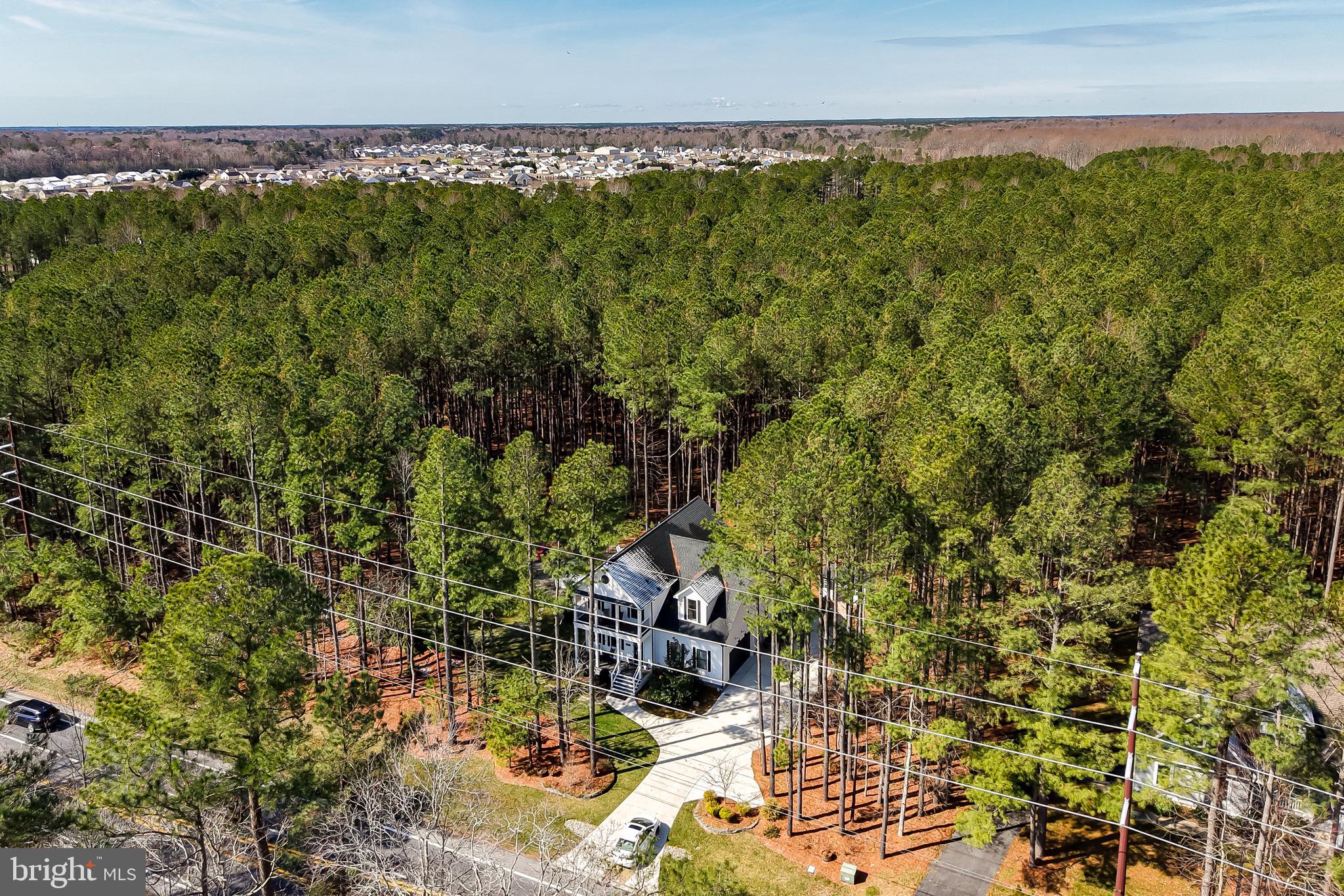 19668 Beaver Dam Road Lewes, DE 19958 - Photo 46 of 50 a picture of a yard