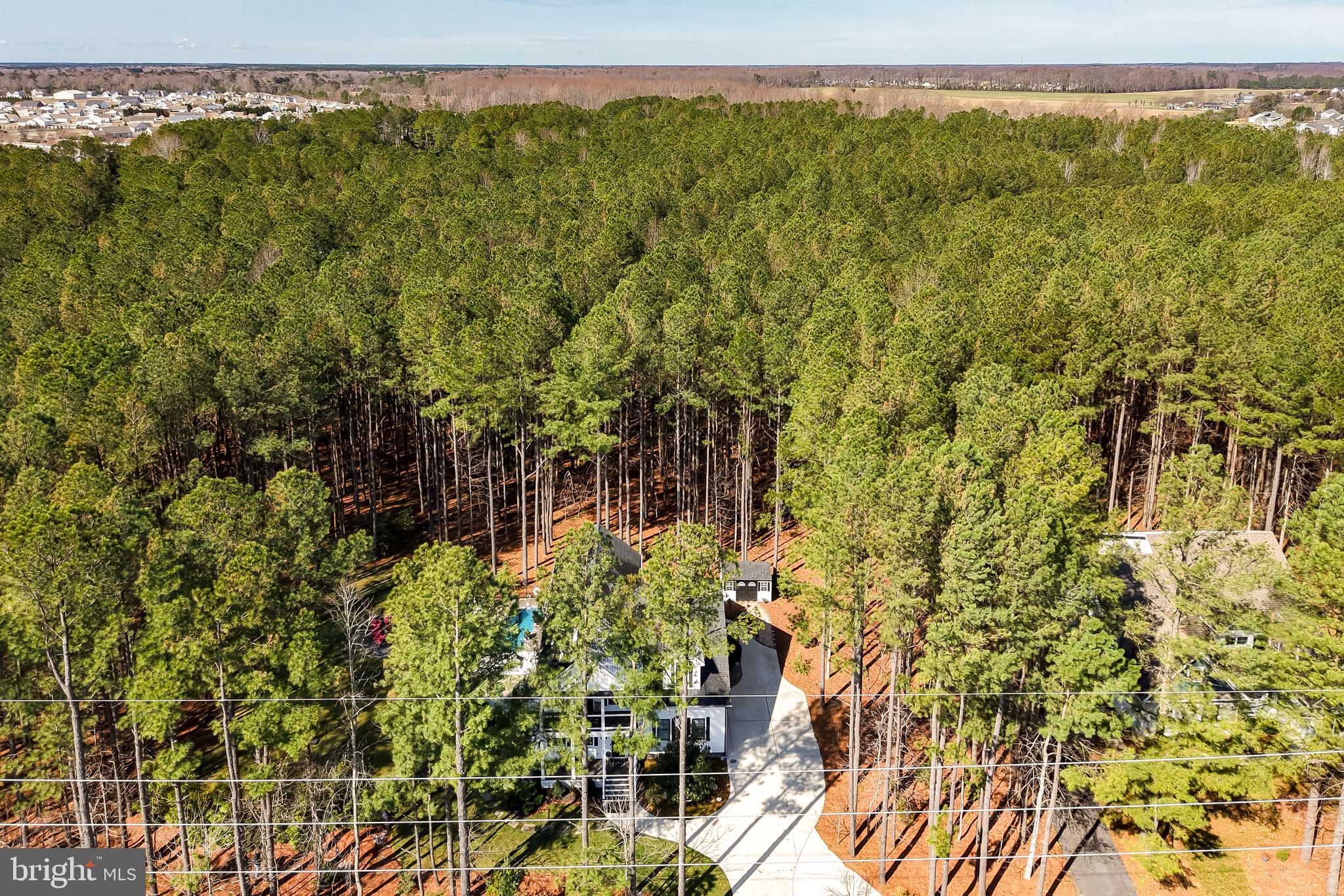 19668 Beaver Dam Road Lewes, DE 19958 - Photo 47 of 50 a view of a yard with plants and large trees