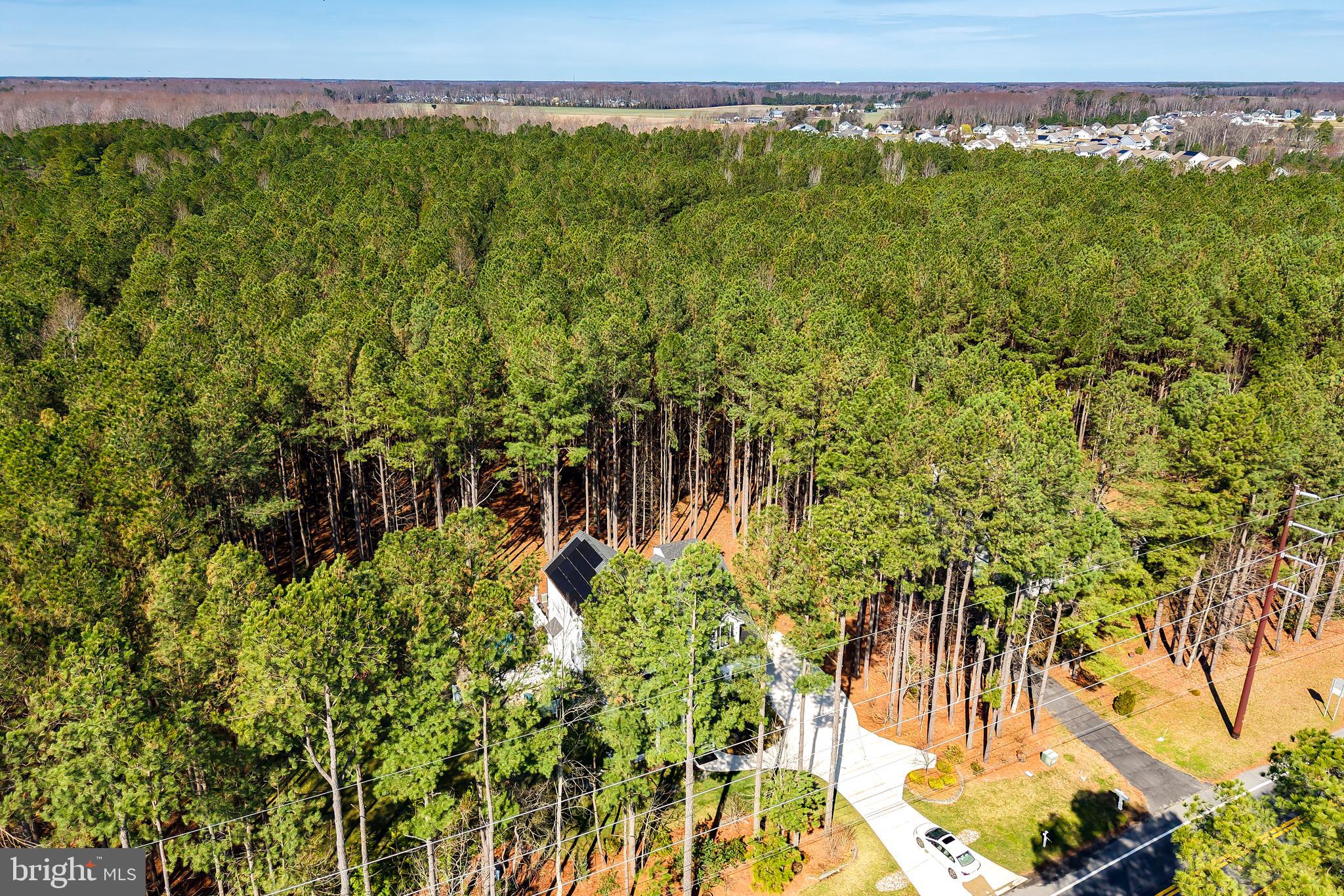 19668 Beaver Dam Road Lewes, DE 19958 - Photo 48 of 50 a view of a yard