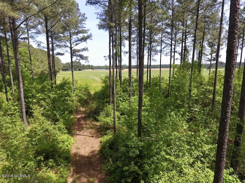 33-ac Tedder Road Lucama, NC 27851 - Photo 19 of 33 18