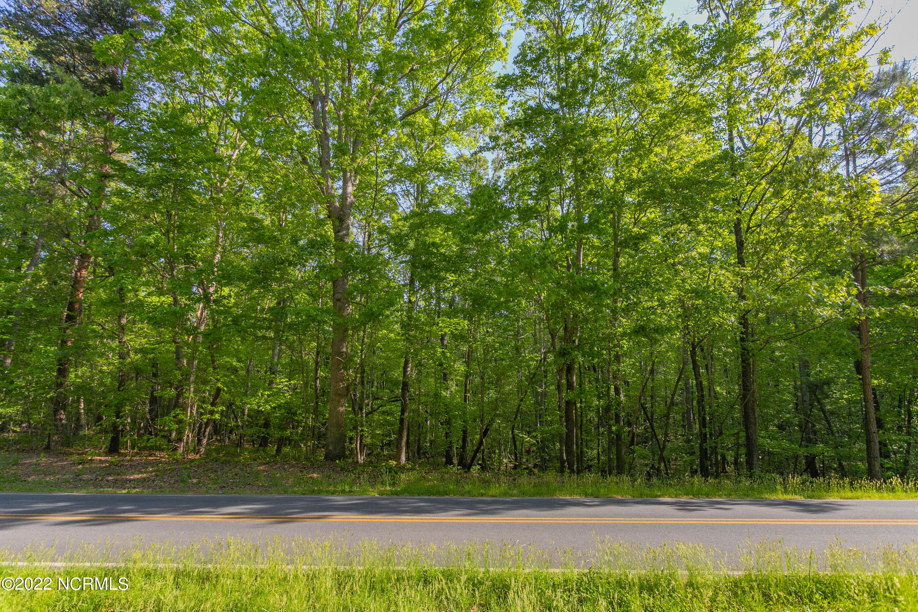 0 Mt Lebanon Road Troy, NC 27371 - Photo 12 of 16 Mt Lebanon Road - 4-28-2022 - Ground-2