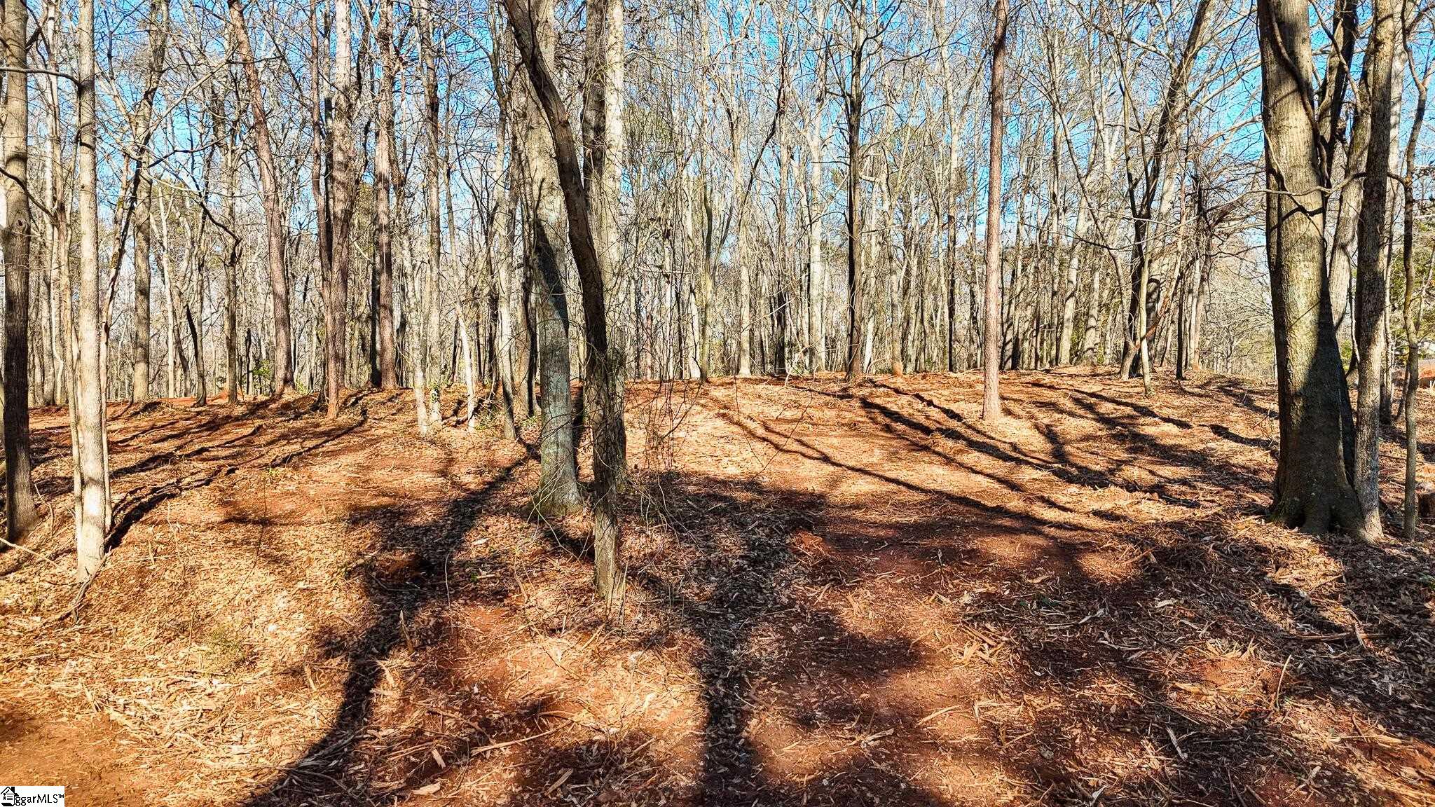 5 Guest Circle Anderson, SC 29621 - Photo 11 of 23