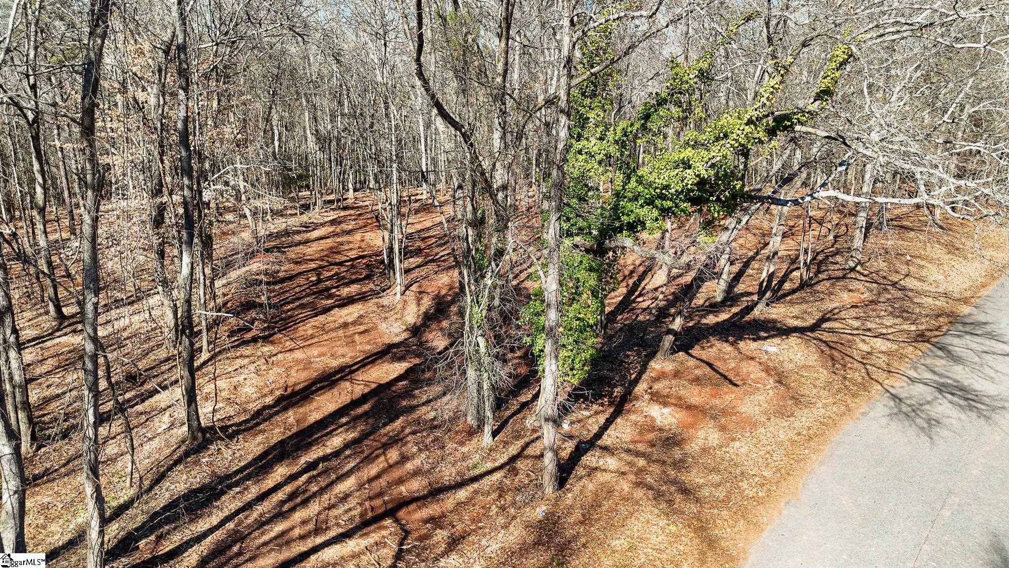 5 Guest Circle Anderson, SC 29621 - Photo 13 of 23