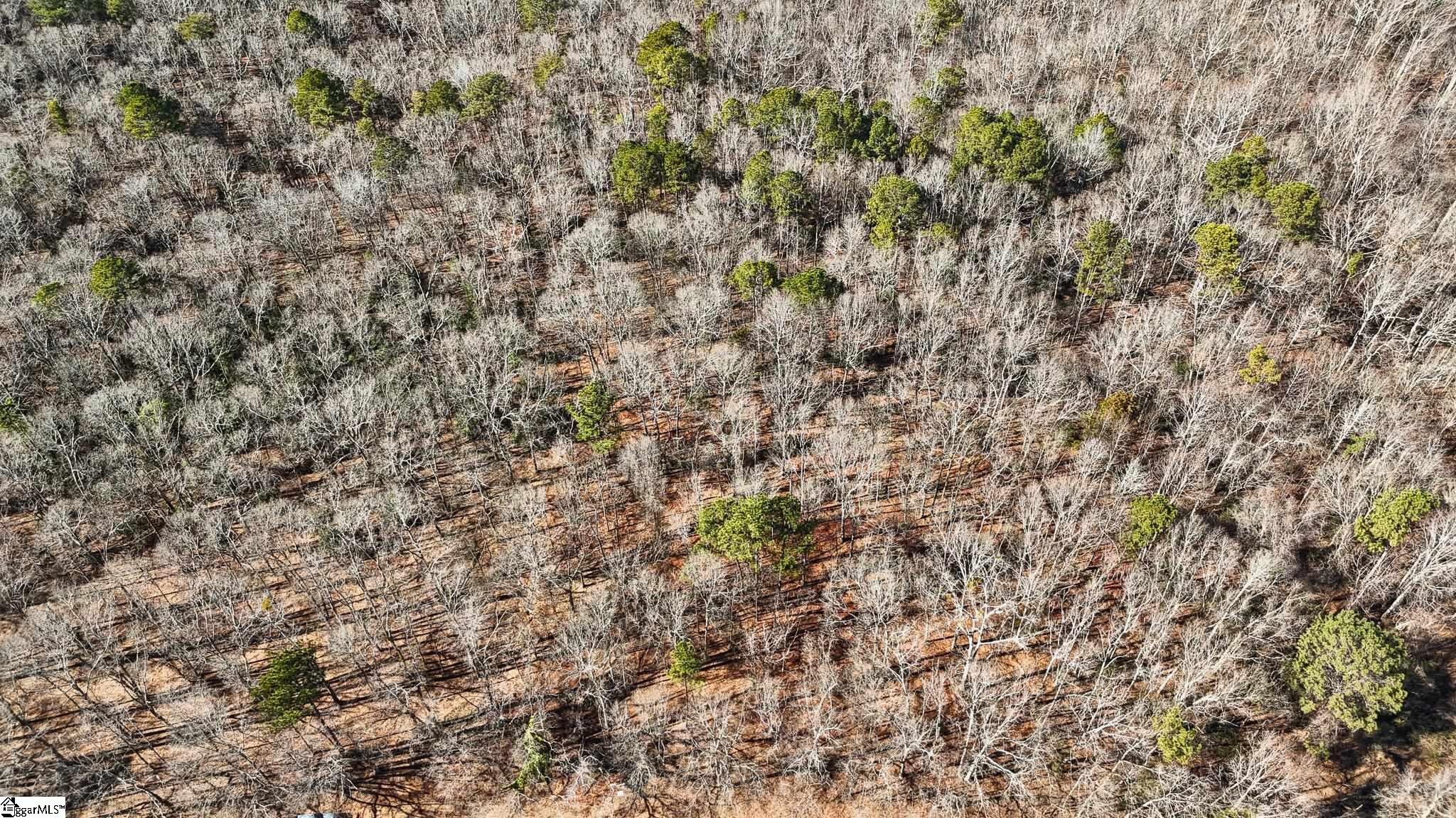 5 Guest Circle Anderson, SC 29621 - Photo 2 of 23