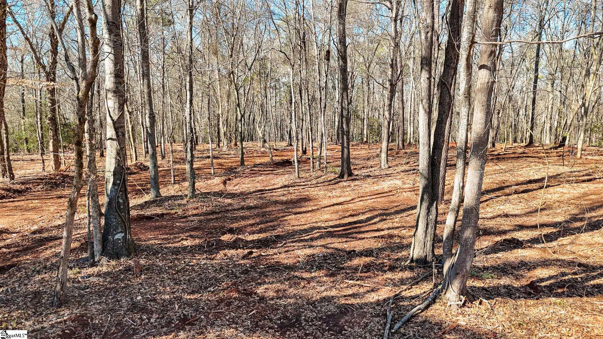 5 Guest Circle Anderson, SC 29621 - Photo 9 of 23