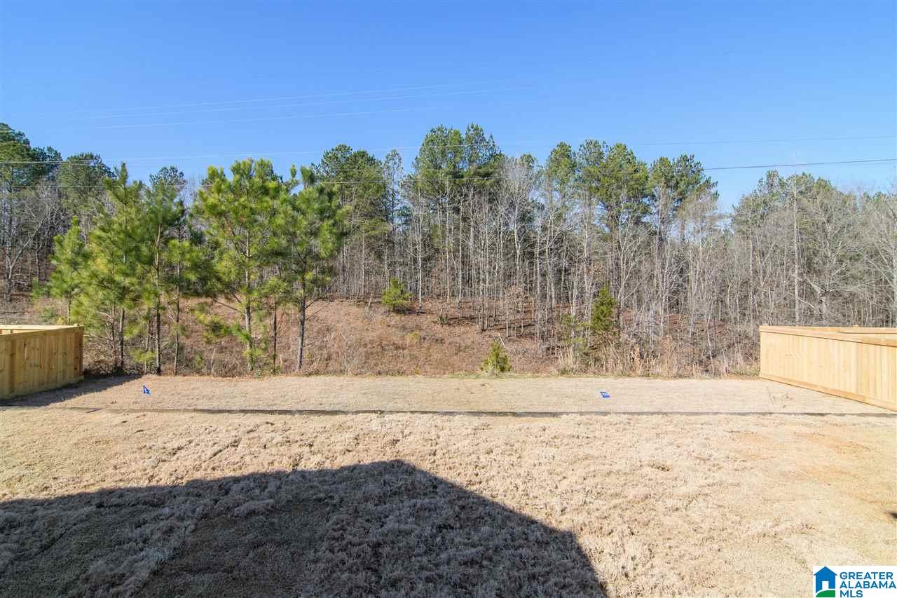 189 Appleford Road Helena, AL 35080 - Photo 44 of 49