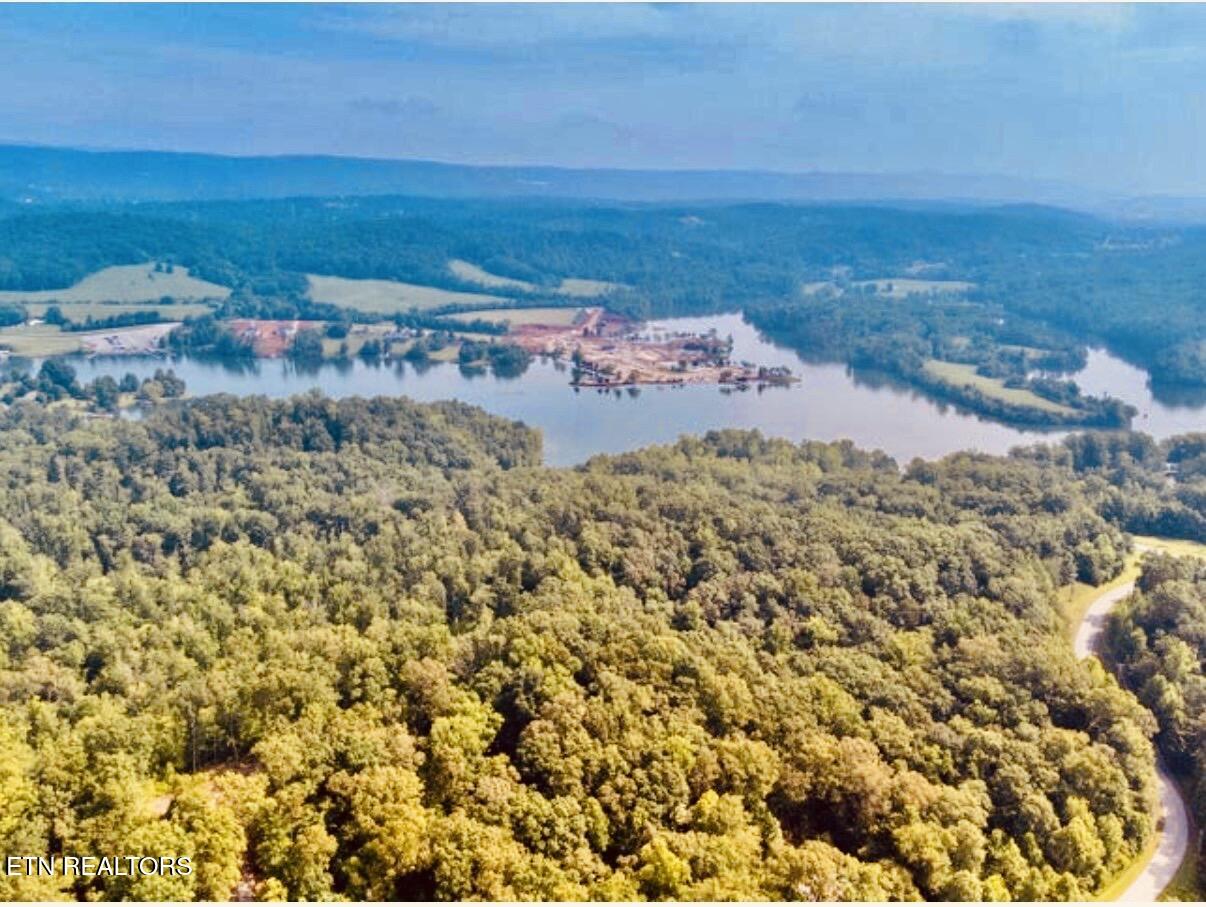 228 Crystal Springs Road Rockwood, TN 37854 - Photo 2 of 13 IMG_0271