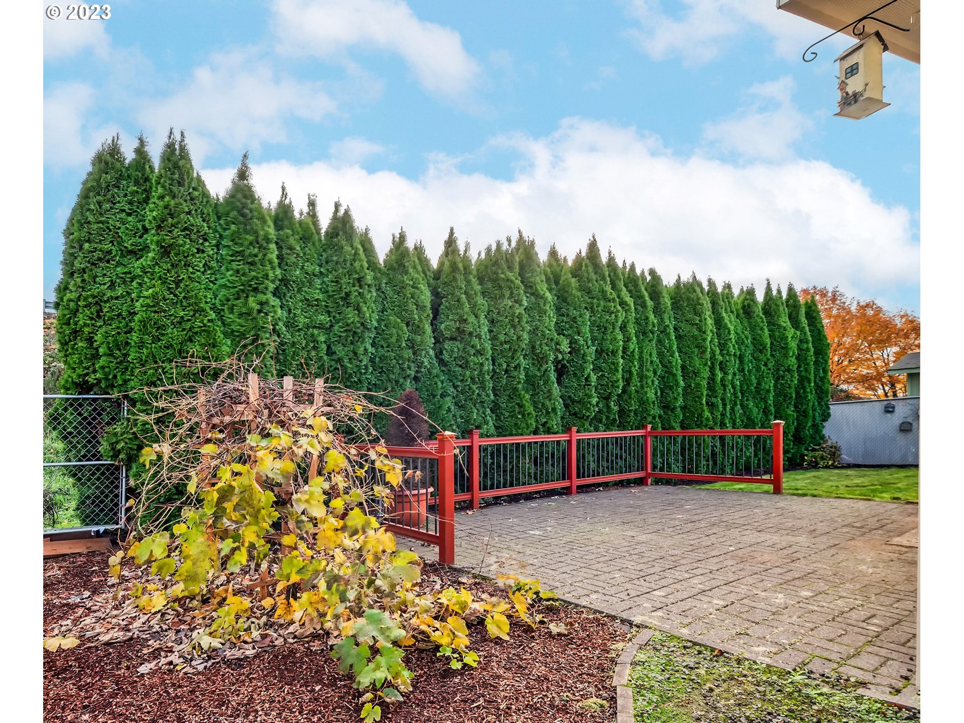 2601 Maia Loop Springfield, OR 97477 - Photo 23 of 29 a backyard of a house with lots of green space