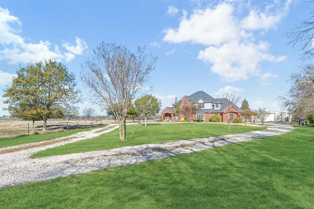 a view of a big yard with potted plants and large trees