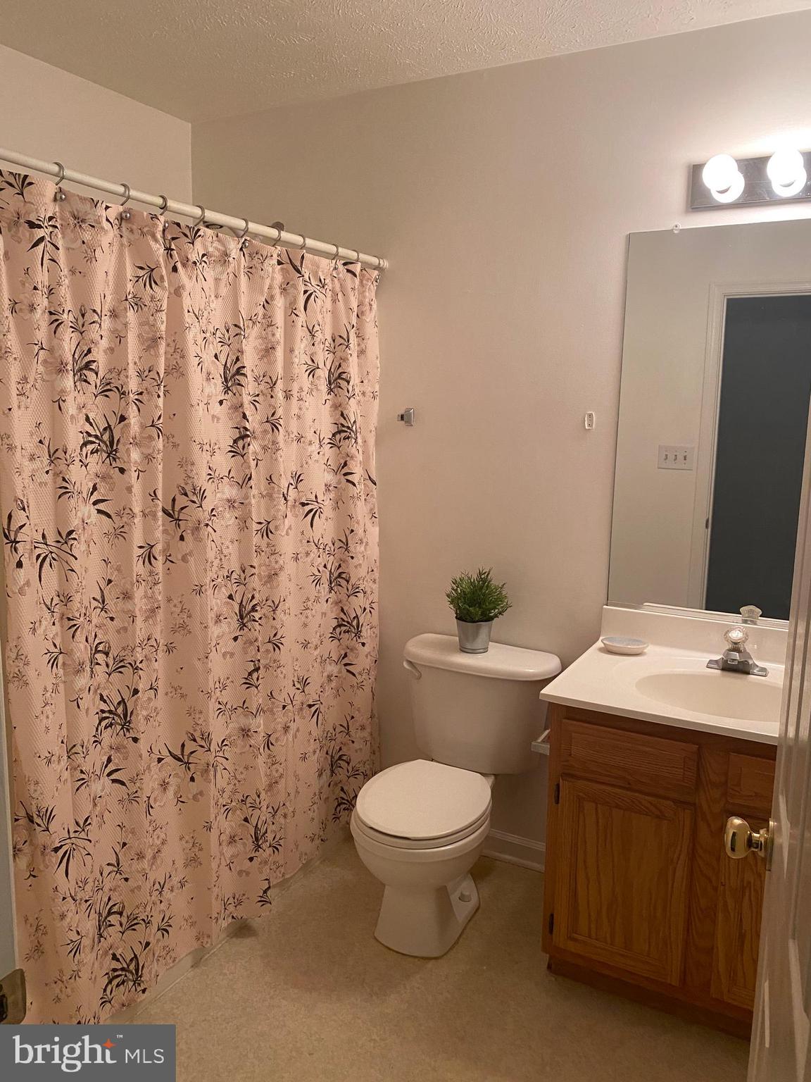 271 Cliff Road Linden, VA 22642 - Photo 18 of 26 Main full bath