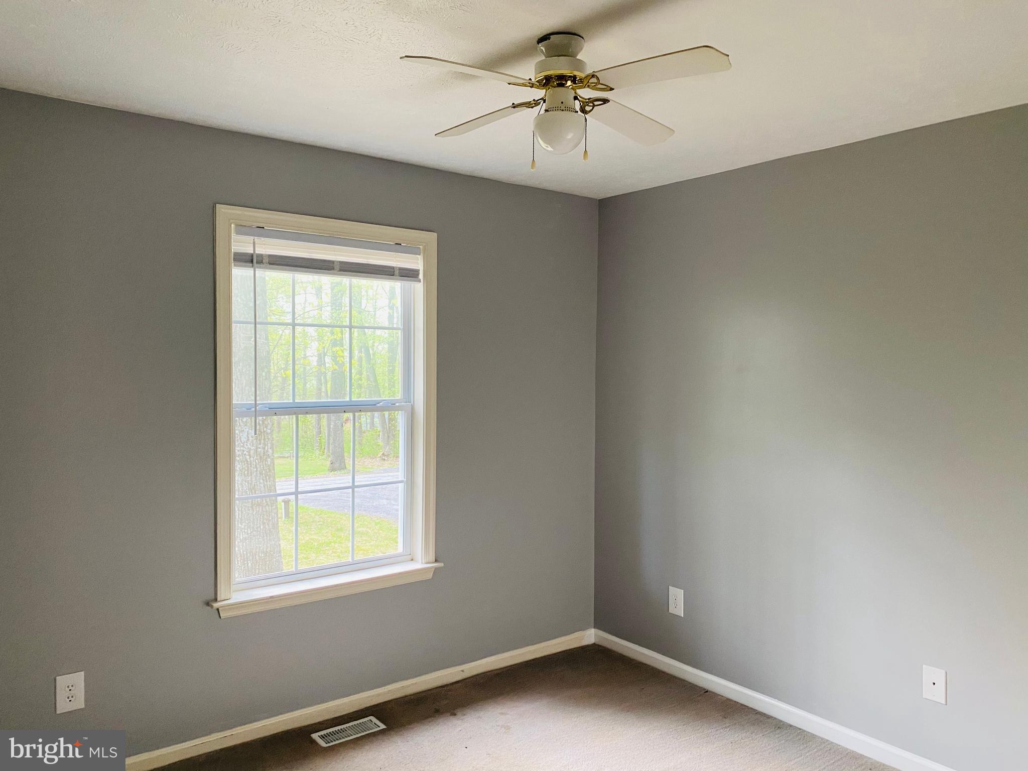 271 Cliff Road Linden, VA 22642 - Photo 22 of 26 bedroom 2