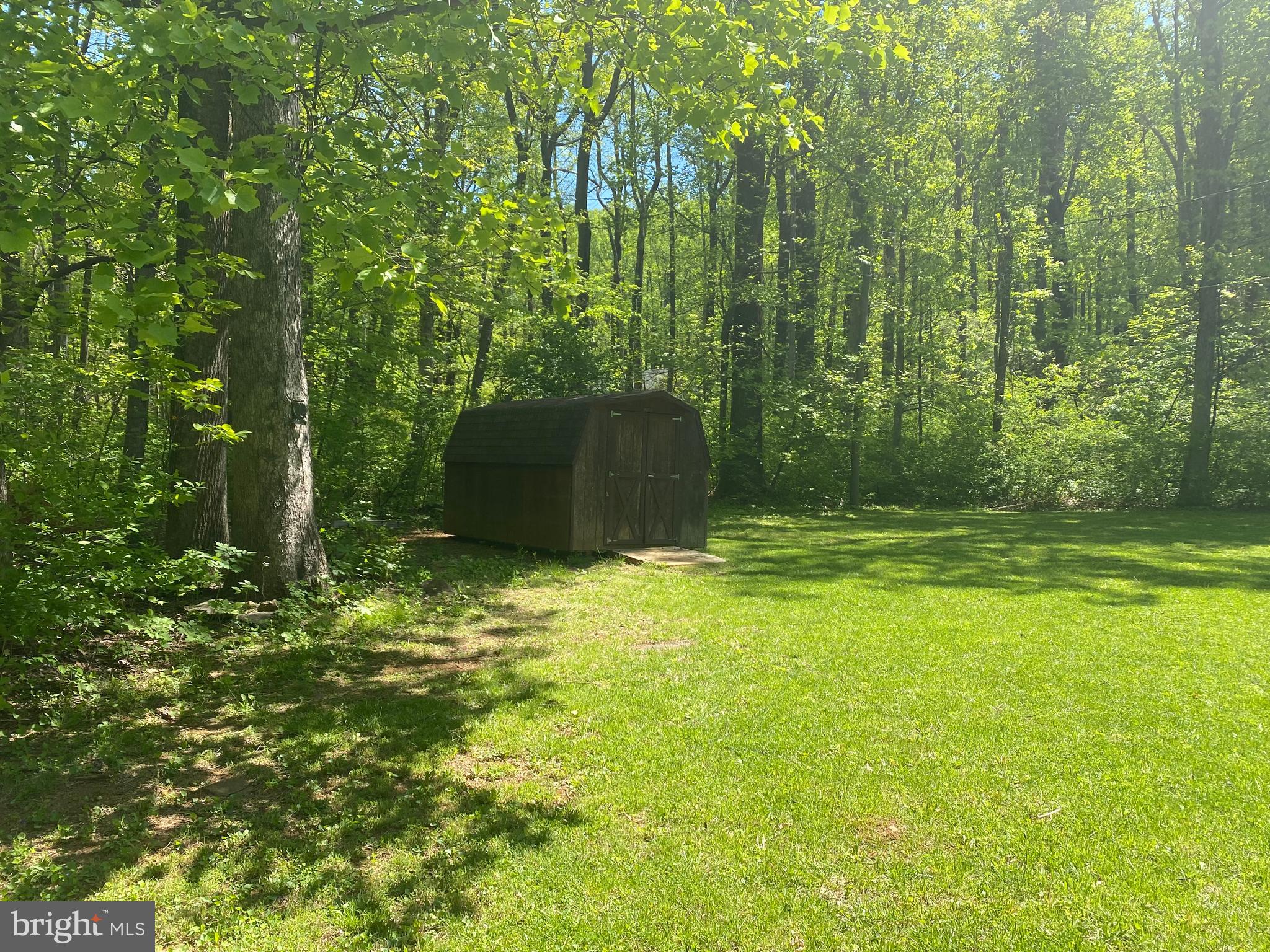 271 Cliff Road Linden, VA 22642 - Photo 9 of 26 Level yard with shed