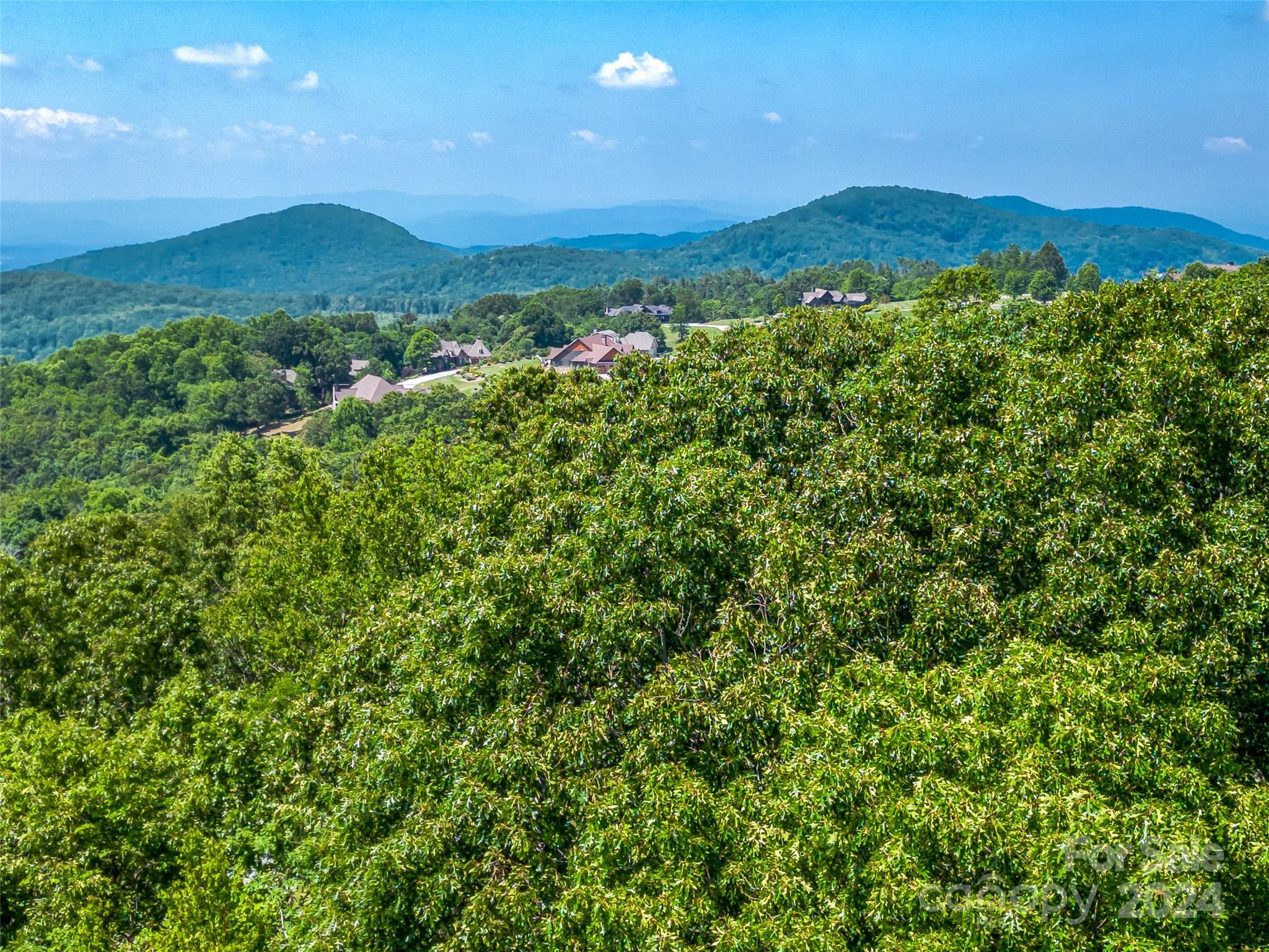 320 Autumn Ridge Lane, Unit 74 Hendersonville, NC 28792 - Photo 14 of 23 Gallery Image 14