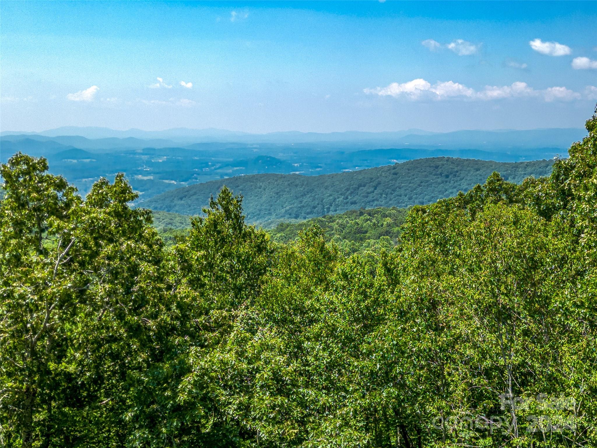 320 Autumn Ridge Lane, Unit 74 Hendersonville, NC 28792 - Photo 19 of 23 Gallery Image 19