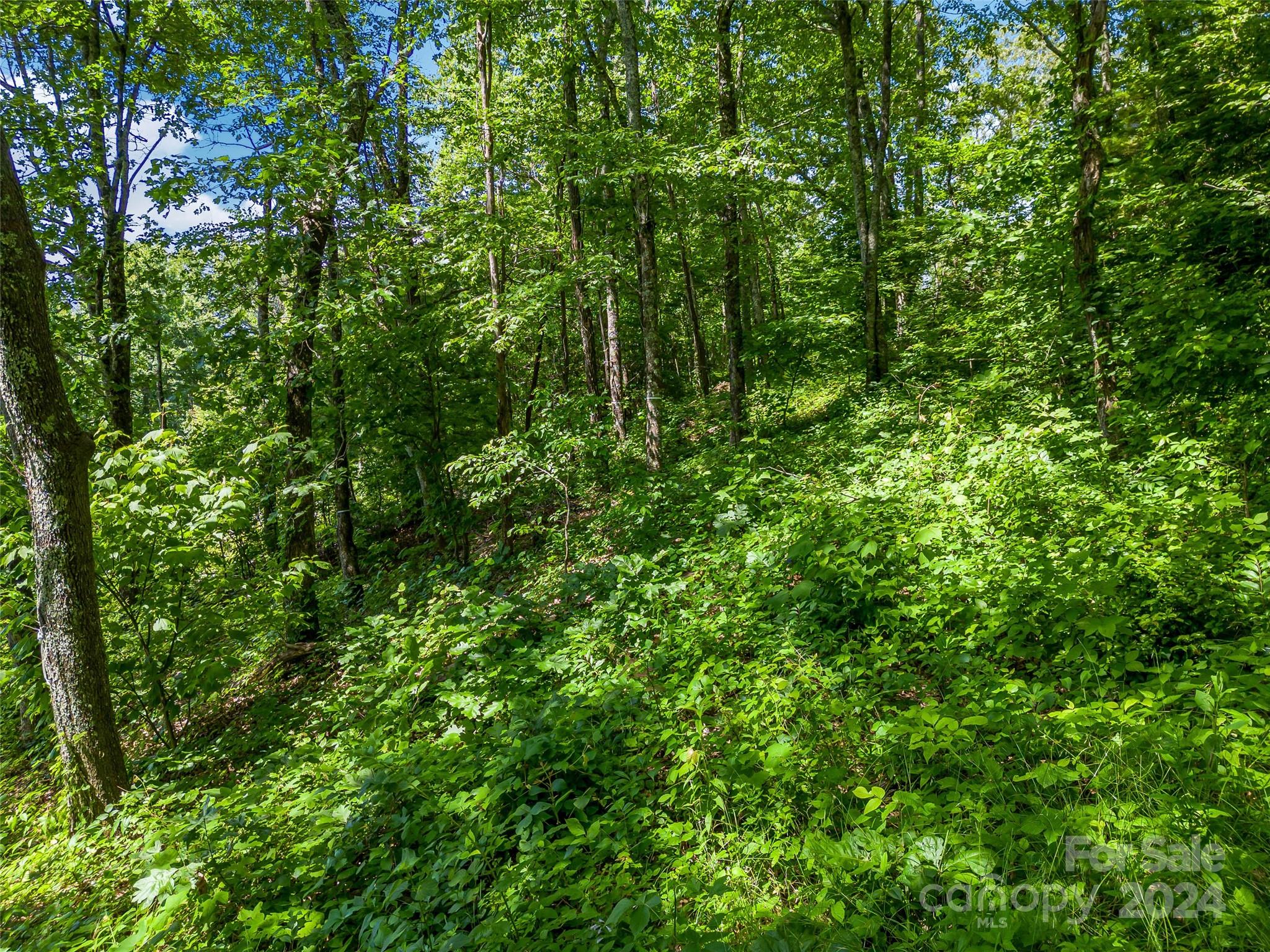 320 Autumn Ridge Lane, Unit 74 Hendersonville, NC 28792 - Photo 23 of 23 Gallery Image 23