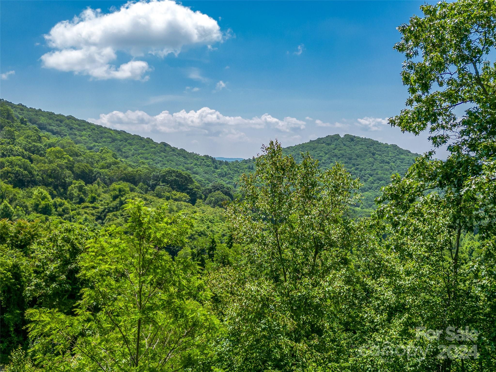 320 Autumn Ridge Lane, Unit 74 Hendersonville, NC 28792 - Photo 5 of 23 Gallery Image 5