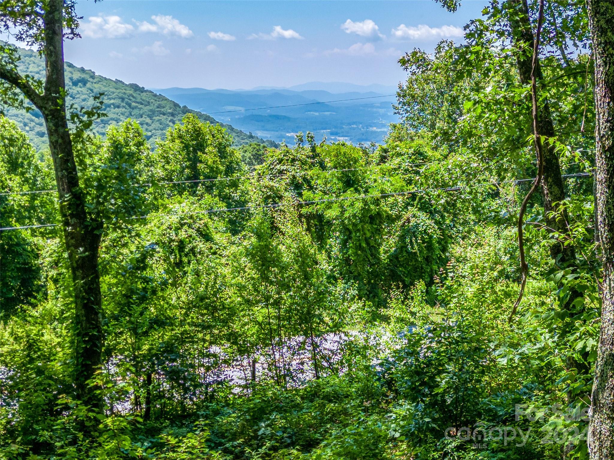 320 Autumn Ridge Lane, Unit 74 Hendersonville, NC 28792 - Photo 8 of 23 Gallery Image 8