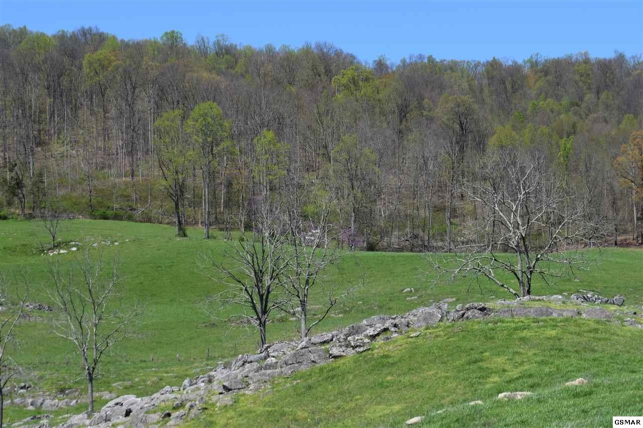 617 War Creek Road Eidson, TN 37731 - Photo 23 of 35