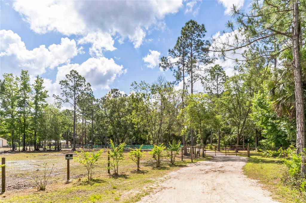 723 River Run Road Osteen, FL 32764 - Photo 18 of 35
