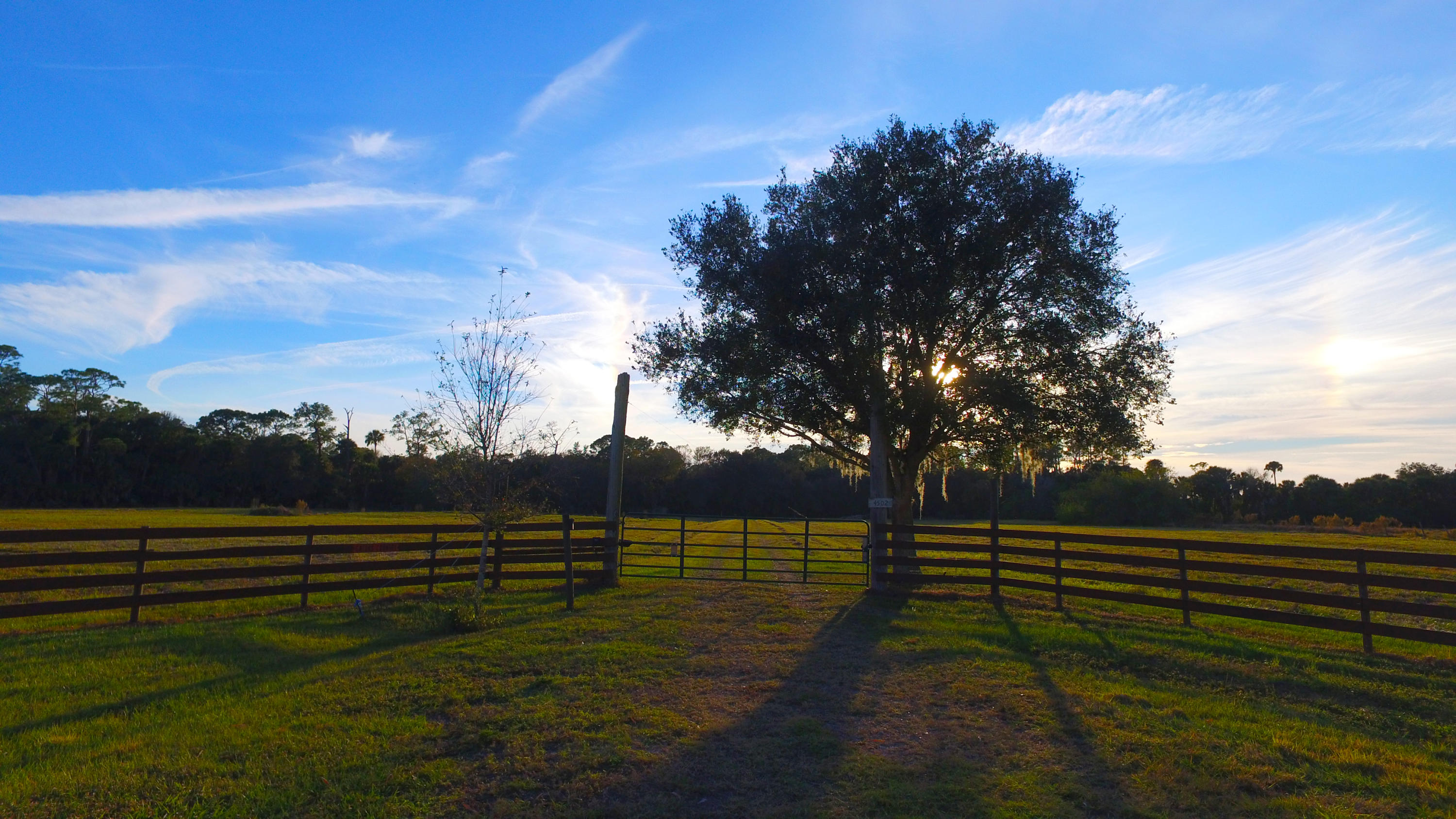 4502 Southwest Wild Turkey Road Okeechobee, FL 34974 - Photo 2 of 67 From the Street behind the trees!