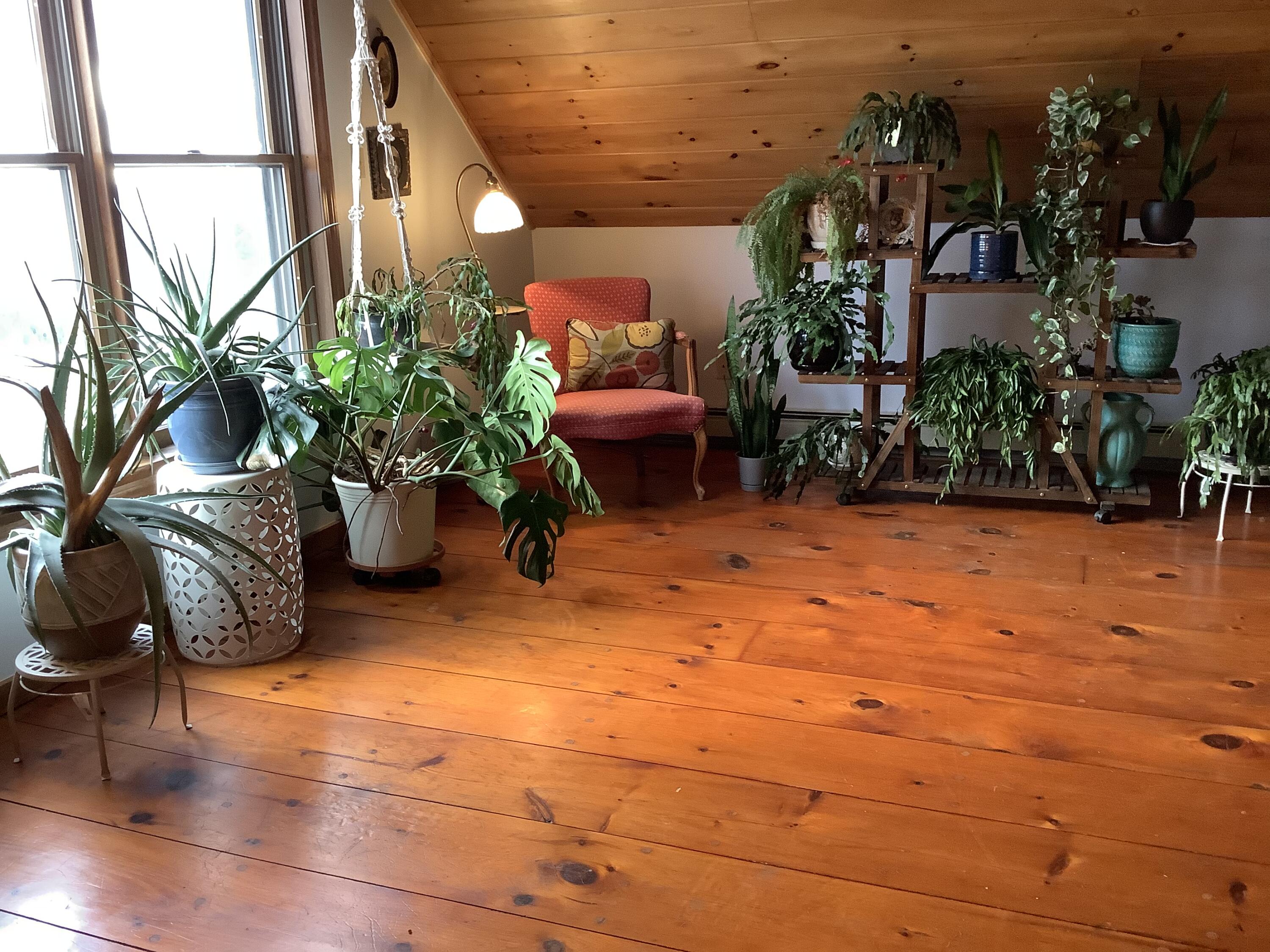 288 Richardson Road Mapleton, ME 04757 - Photo 24 of 67 4C4ED328-C064-4892-B3BF-226536CAC367