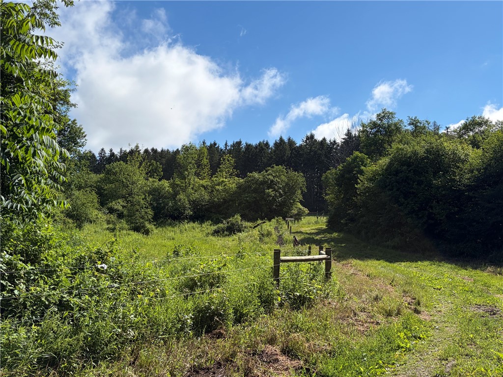 0 Banks Road Gainesville, NY 14066 - Photo 22 of 30