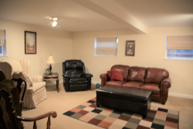 1605 East Frederick Street Arlington Heights, IL 60004 - Photo 14 of 16