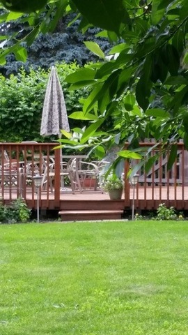 1605 East Frederick Street Arlington Heights, IL 60004 - Photo 8 of 16