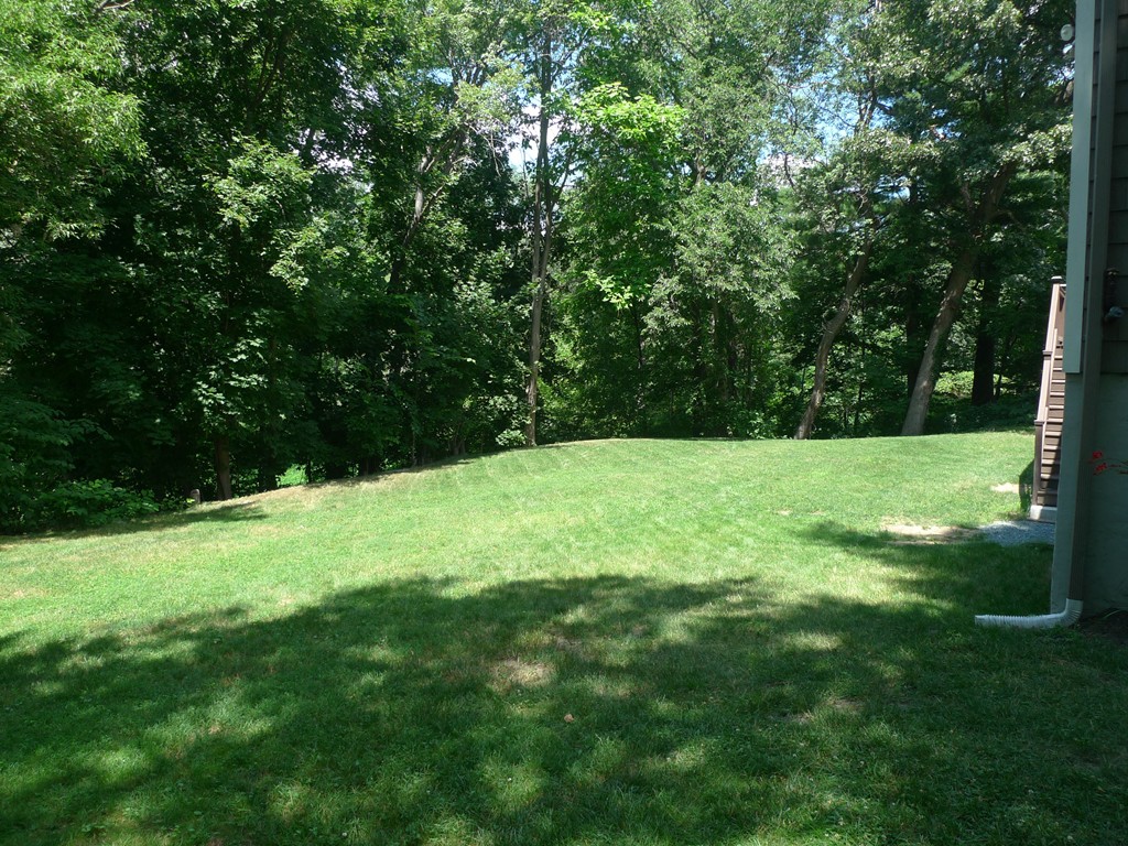 46 Woodbriar Road Wakefield, MA 01880 - Photo 29 of 30 Gallery Image 29