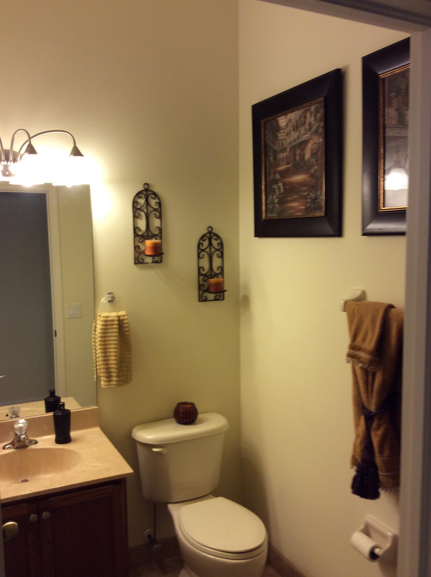 17859 88th Road North Loxahatchee, FL 33470 - Photo 11 of 25 Guest Bathroom