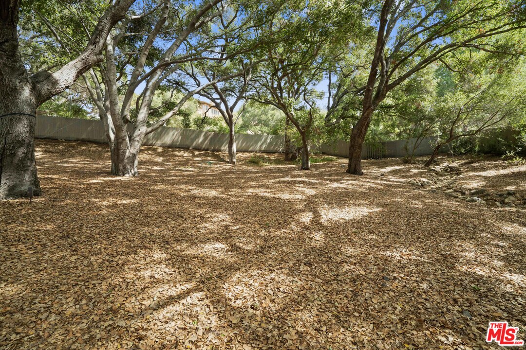 481 Cold Canyon Road Calabasas, CA 91302 - Photo 18 of 44 a view of a yard with a tree