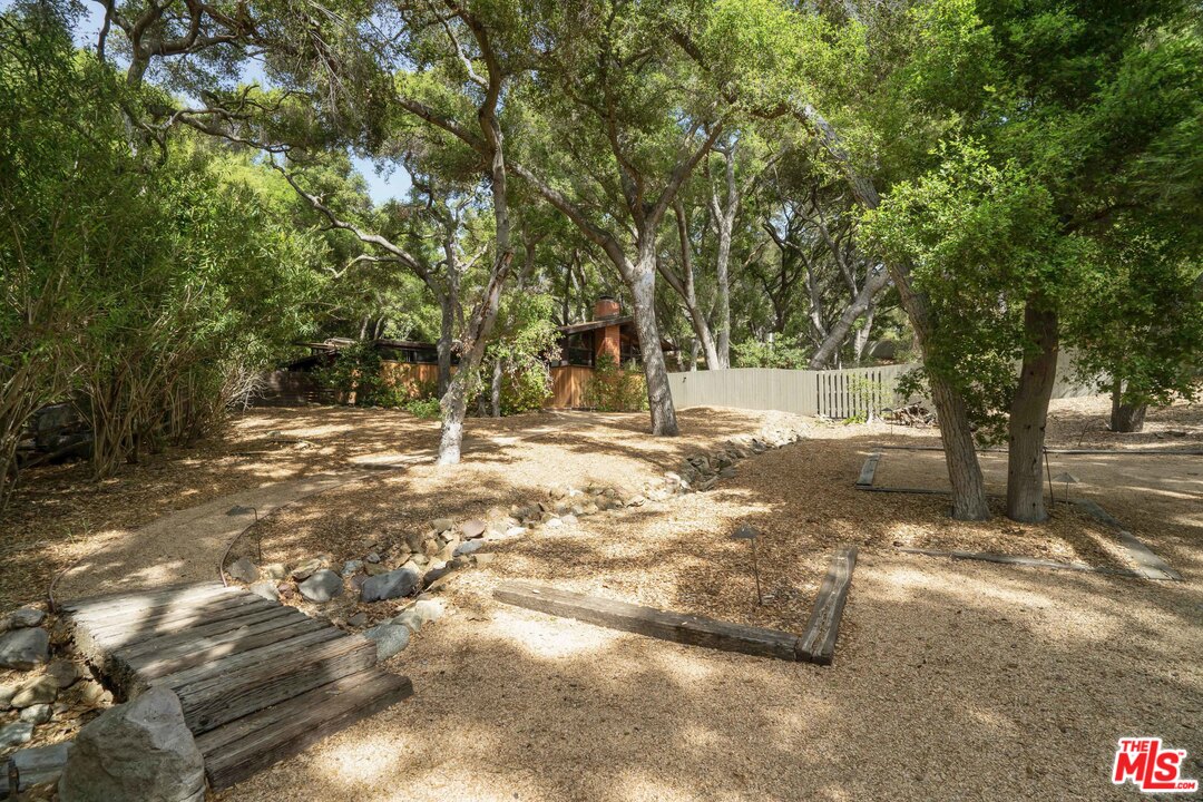 481 Cold Canyon Road Calabasas, CA 91302 - Photo 10 of 44 a backyard of a house with lots of green space