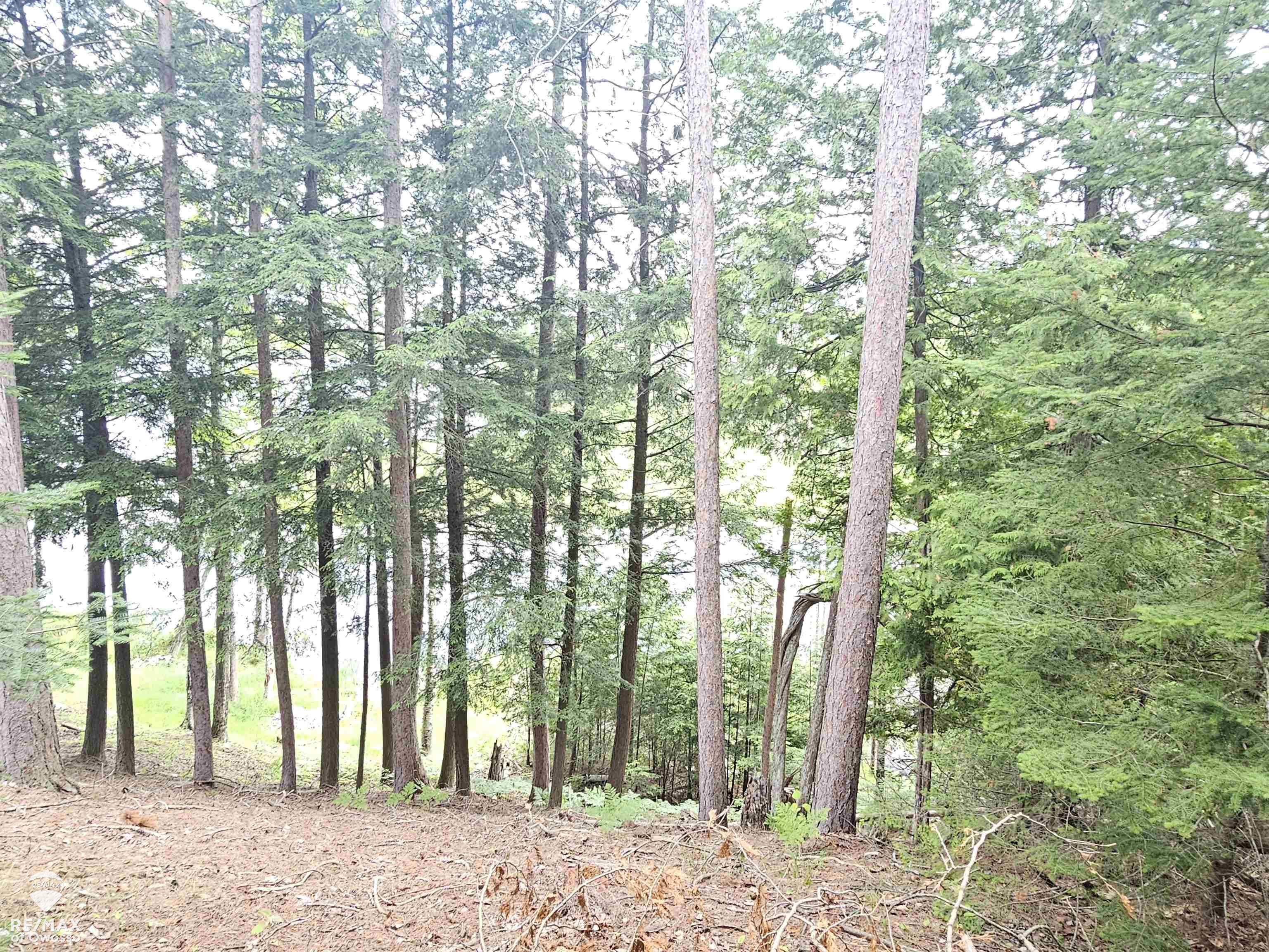 Spile Dam Road Millersburg, MI 49759 - Photo 13 of 16