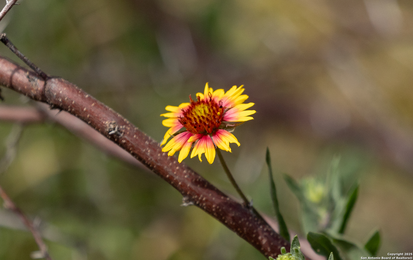 83 North U.S. Highway 83 Leakey, TX 78873 - Photo 12 of 19 a view of a lake